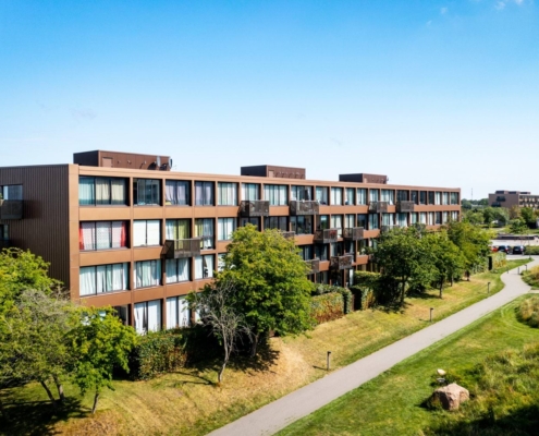 Rosenhøj