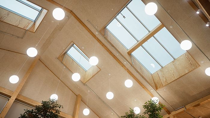 LKR Innovation House Velux