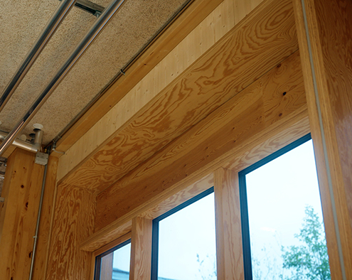 LKR Innovation House Velux